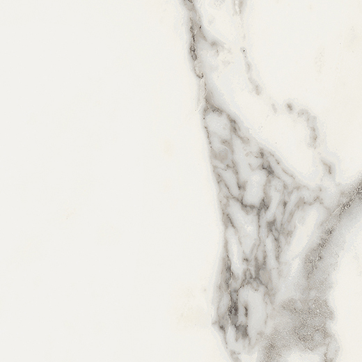 Emilia Arabescato Matte 24"x24 | Color Body Porcelain | Floor/Wall Tile