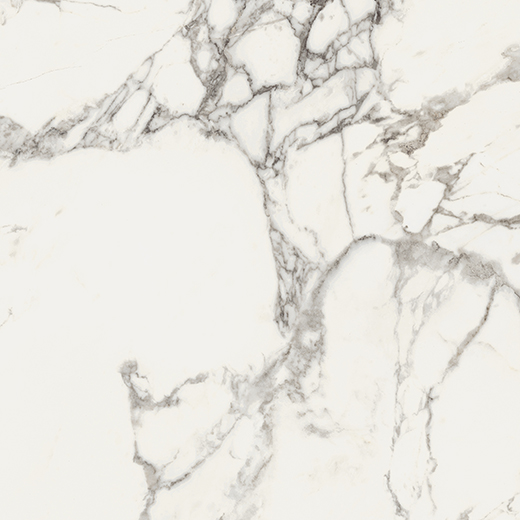 Emilia Arabescato Polished 48"x48 | Color Body Porcelain | Floor/Wall Tile
