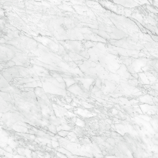 Nuvo Marble Carrara Gioia Honed 24"x24 | Glazed Porcelain | Floor/Wall Tile