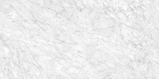Nuvo Marble Carrara Gioia Honed 24"x48 | Glazed Porcelain | Floor/Wall Tile
