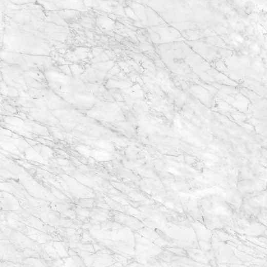 Nuvo Marble Carrara Gioia Honed 32"x32 | Glazed Porcelain | Floor/Wall Tile