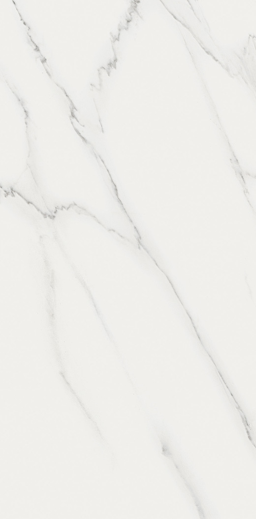 Outlet Realize Carrara Matte 12"x24 | Color Body Porcelain | Floor/Wall Tile