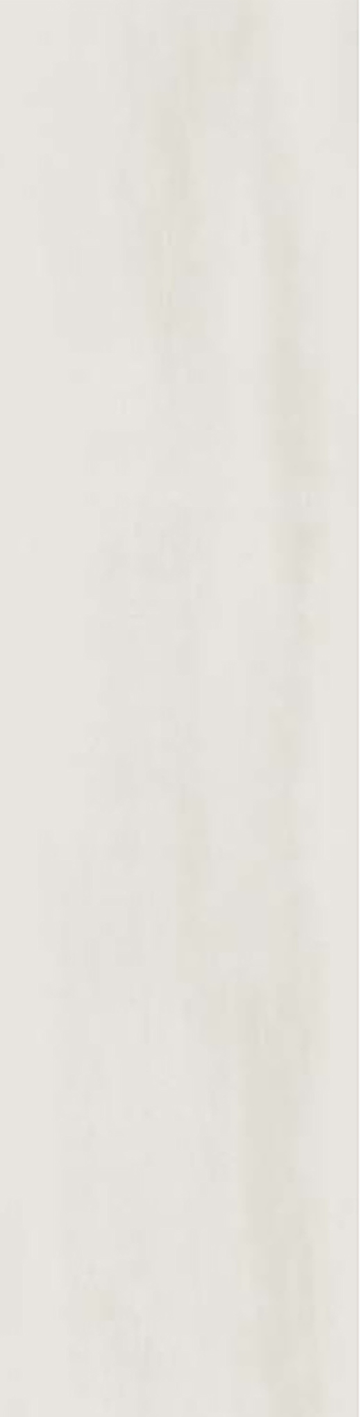 Resplendent Bianco Dolomite Polished 3"x12 | Color Body Porcelain | Floor/Wall Tile
