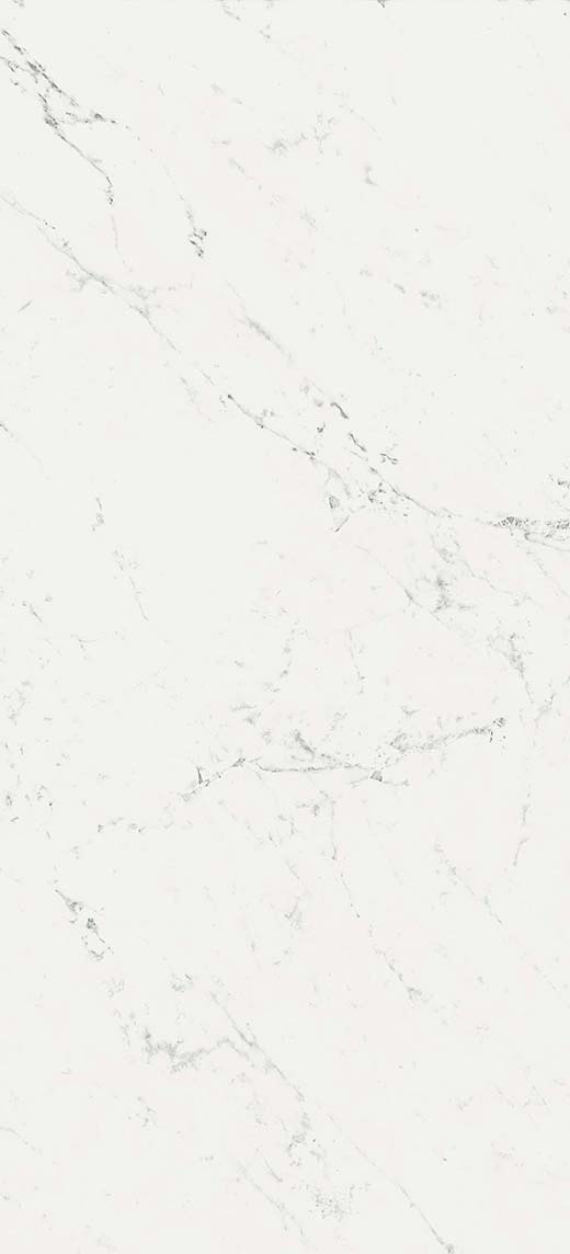 Resplendent Carrara Pure Matte 24"x48 | Color Body Porcelain | Floor/Wall Tile