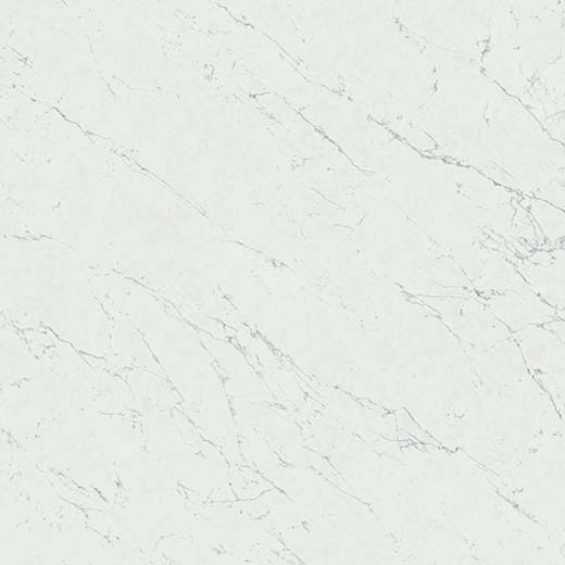 Resplendent Carrara Pure Matte 48"x48 | Color Body Porcelain | Floor/Wall Tile