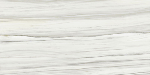 Cava Carrara Zebrino Polished 12"x24 | Color Body Porcelain | Floor/Wall Tile