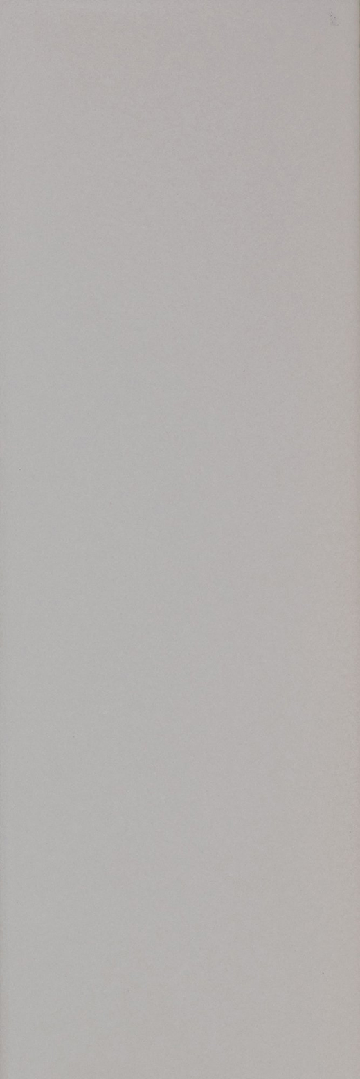 Everton Alloy Gloss 4"x12 | Ceramic | Wall Tile