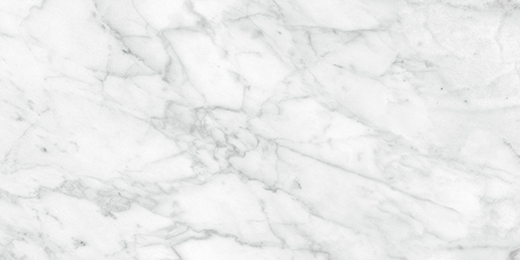 Palladium Carrara Abisso Matte 12"X24 | Porcelain | Floor/Wall Tile