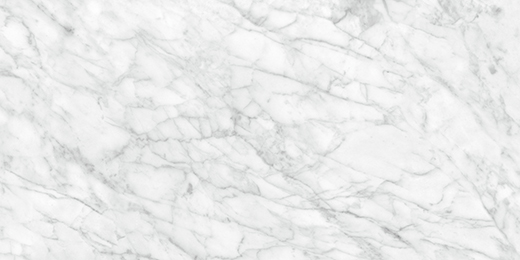 Palladium Carrara Abisso Matte 24"X48 | Porcelain | Floor/Wall Tile